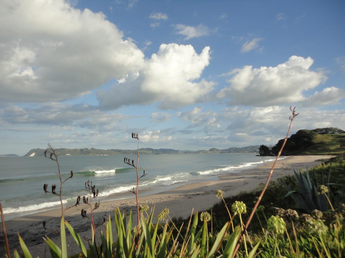 Ocean View B&B Whitianga Exteriér fotografie