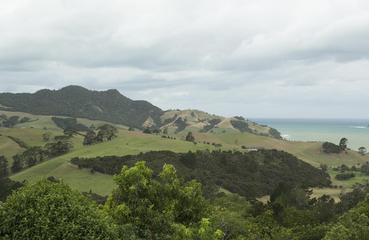 Ocean View B&B Whitianga Exteriér fotografie